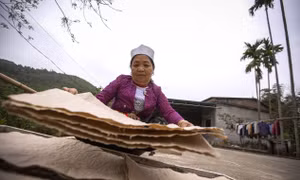 Gìn giữ nghề truyền thống làm giấy dó của người Mường