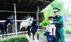 Bộ đội Biên phòng A Lưới hướng dẫn đồng bào phương pháp chăm sóc đàn dê. Ảnh: Đỗ Trưởng