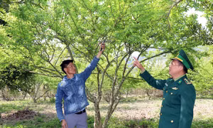 Ngày Biên phòng toàn dân: Dấu ấn những Phó Bí thư quân hàm xanh ở vùng biên Sơn La