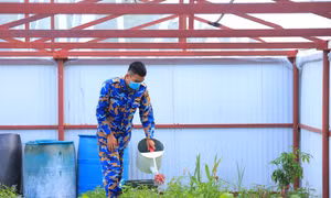 Vườn rau xanh của các chiến sĩ đem lại sức sống mới cho quân và dân trên đảo Sinh Tồn Đông. Ảnh: Ngọc Đức
