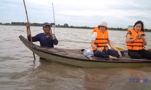 Về Đồng Tháp trải nghiệm du lịch mùa nước nổi
