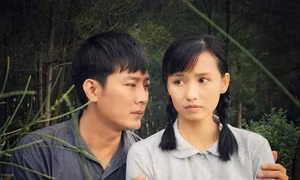 Tổ chức Tuần phim kỷ niệm 70 năm Ngày Thương binh - Liệt sĩ