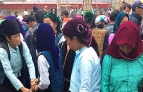 Kỹ thuật chăn nuôi heo đen