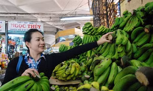 Tìm về hương vị chuối Laba