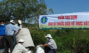 Một số lỗi trong việc sử dụng thuốc bảo vệ thực vật của nông dân