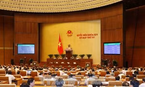 Kỳ họp thứ 4, Quốc hội khóa XIV: Thông qua dự án Luật Lâm nghiệp