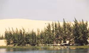 Bắc Bình nỗ lực vượt khó đi lên