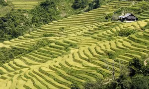 Các tour du lịch ngắn ngày thu hút du khách dịp nghỉ Tết dương lịch 2018