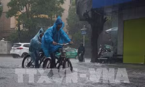 Thời tiết ngày 9/11: Quảng Nam, Phú Yên, Đắk Lắk vẫn mưa to, mực nước trên các sông ở Quảng Nam tiếp tục lên