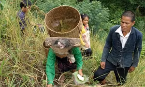 Người Mảng