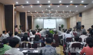 Nâng cao hiệu quả thi hành Luật Sở hữu trí tuệ