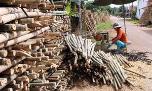 Tây Ninh: Duy trì và phát triển các ngành nghề truyền thống