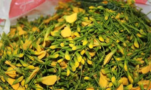 4 bài thuốc quý từ bông điên điển