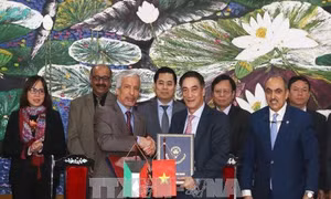 Phát triển cơ sở hạ tầng ven biển ứng phó biến đổi khí hậu