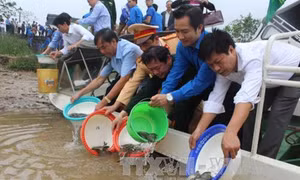 Tham vấn quốc gia về các quy định đồng quản lý trong bảo vệ nguồn lợi thuỷ sản