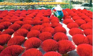 Làng nghề làm nhang Lê Minh Xuân