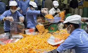 Công nghiệp chế biến thực phẩm Việt Nam có nhiều dư địa phát triển