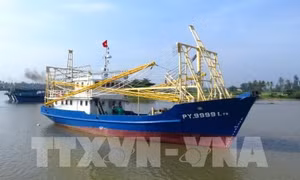 Nhiều chủ tàu vỏ thép ở Bình Định có nguy cơ bị phá sản