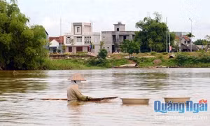 Nghề cào don
