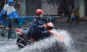 Thời tiết ngày 29/6: Miền Bắc mưa dông tiếp tục duy trì, đề phòng lũ quét ở miền núi phía Bắc
