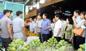 Bí thư Thành ủy Thành phố Hồ Chí Minh thị sát tình hình cung ứng hàng hóa và an toàn thực phẩm Tết Đinh Dậu tại một số chợ đầu mối