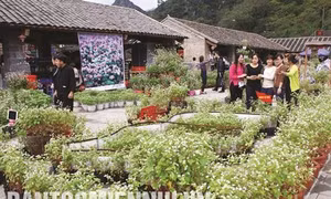 Phố cổ Đồng Văn