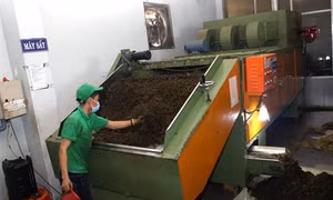 Ngành công nghiệp dược liệu Việt Nam và chiến lược phát triển