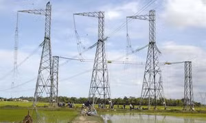 Xây dựng đường dây 500 kV Sông Hậu - Đức Hòa