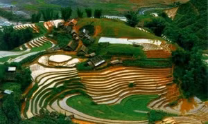 Tổng quan vùng trung du và miền núi phía Bắc