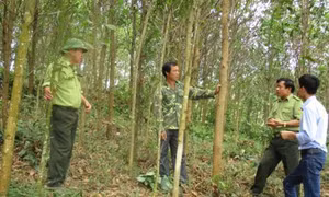 Phát triển kinh tế gắn với xây dựng nông thôn mới tại huyện Quan Hóa