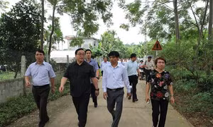 Bí thư Thành ủy Hà Nội Hoàng Trung Hải thăm một số mô hình sản xuất nông nghiệp ở Ba Vì