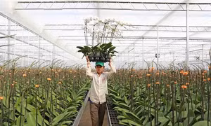 Các tỉnh Tây Nguyên có 1 huyện và 123 xã đạt chuẩn nông thôn mới