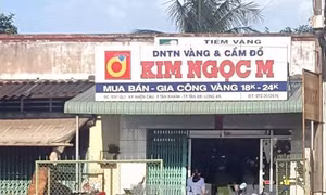 Hai đối tượng táo tợn cướp tiệm vàng ở Long An