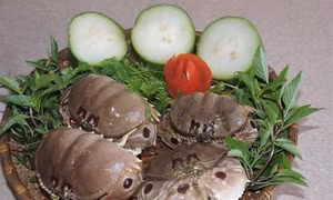 Mát lành núm biển nấu canh bí đao