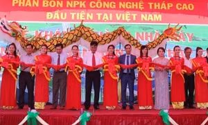 Công nghệ tháp cao nâng cao năng suất, chất lượng