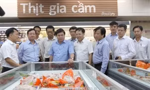 Chương trình ổn thị trường tại Thành phố Hồ Chí Minh: Vốn mồi từ ngân sách đến xã hội hóa thành công