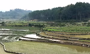 Lạ lẫm lễ đón bầu nước thiêng