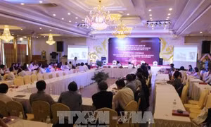 Hội thảo khoa học quốc tế về gốm cổ Bình Định