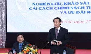 Khảo sát về chính sách tiền lương, bảo hiểm xã hội và ưu đãi người có công