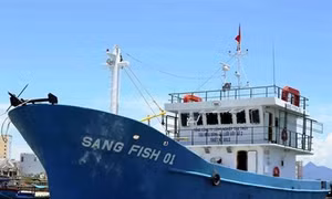 Cho vay "tàu 67" cần hướng theo mô hình nông nghiệp cao