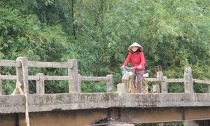 Nỗi lo trên những cây cầu dân sinh xuống cấp ở vùng rốn lũ Quảng Trị