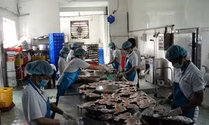 Trà Vinh đầu tư 700 tỷ đồng phát triển công nghiệp chế biến thực phẩm