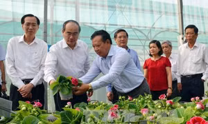 Xây dựng thành phố Hồ Chí Minh trở thành trung tâm giống vật nuôi trong khu vực