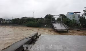 Cần nhanh chóng khôi phục kè chống lũ ở Yên Bái
