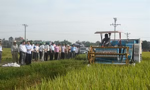 Chương Mỹ đẩy nhanh tiến độ chương trình 02