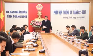 Quảng Ninh thực hiện nhất thể hóa Bí thư chi bộ kiêm trưởng thôn, khu phố