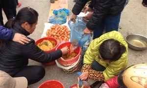 Mật ong rừng Cao Bằng chất lượng hiếm có