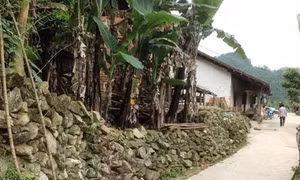 Nhà trình tường của người Dao Tiền