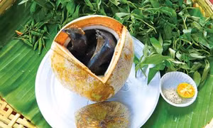 Gà ác tiềm ớt hiểm trái dừa Bến Tre