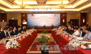 Chuyển đổi hộ kinh doanh ở Thành phố Hồ Chí Minh (Bài 2)